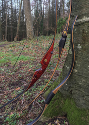 Three different types of traditional archery bows leaning against a tree