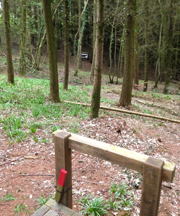 One of the longer shots (taken from the red peg) on our woodland course